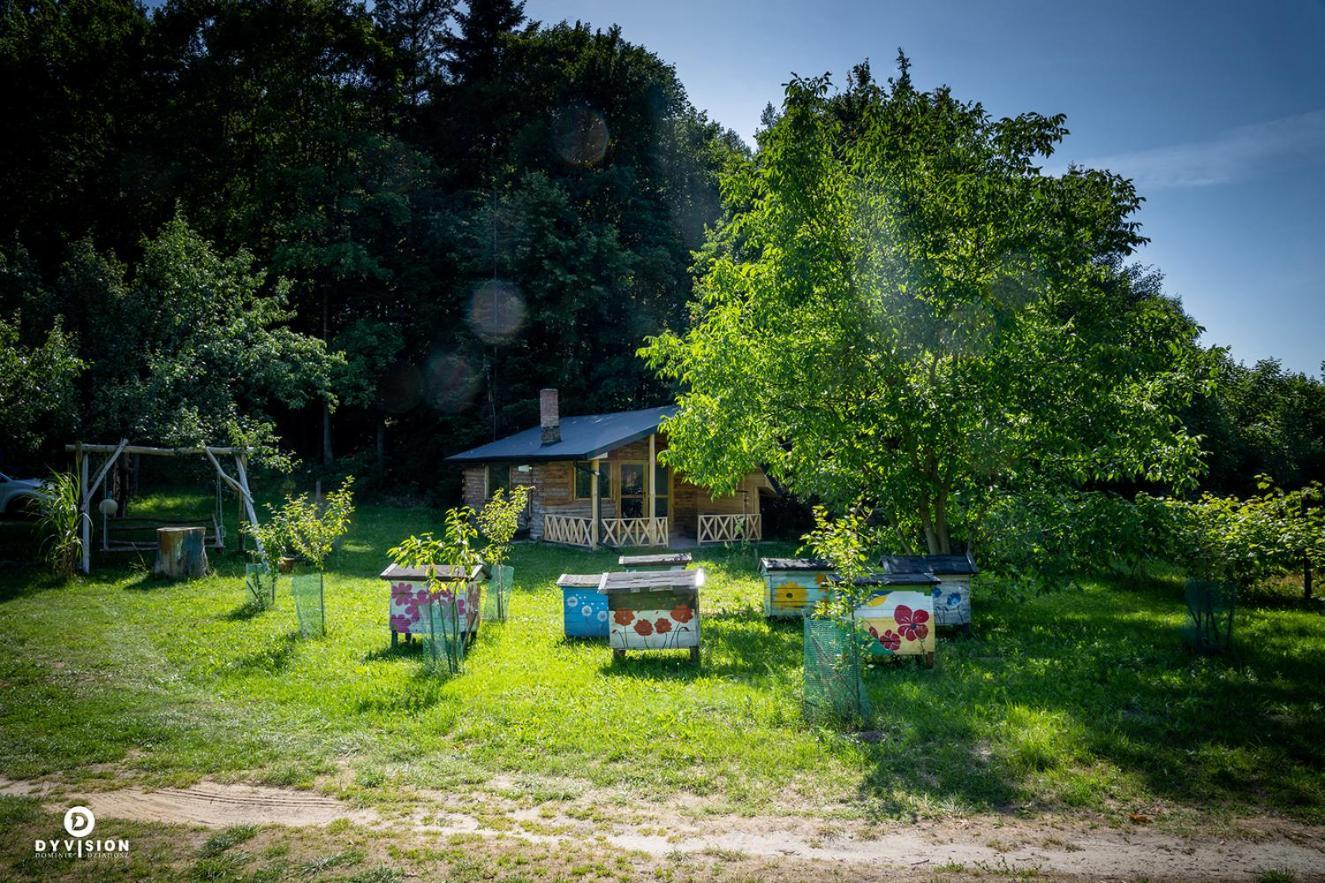 Lodge Dolianna Krasnobrod