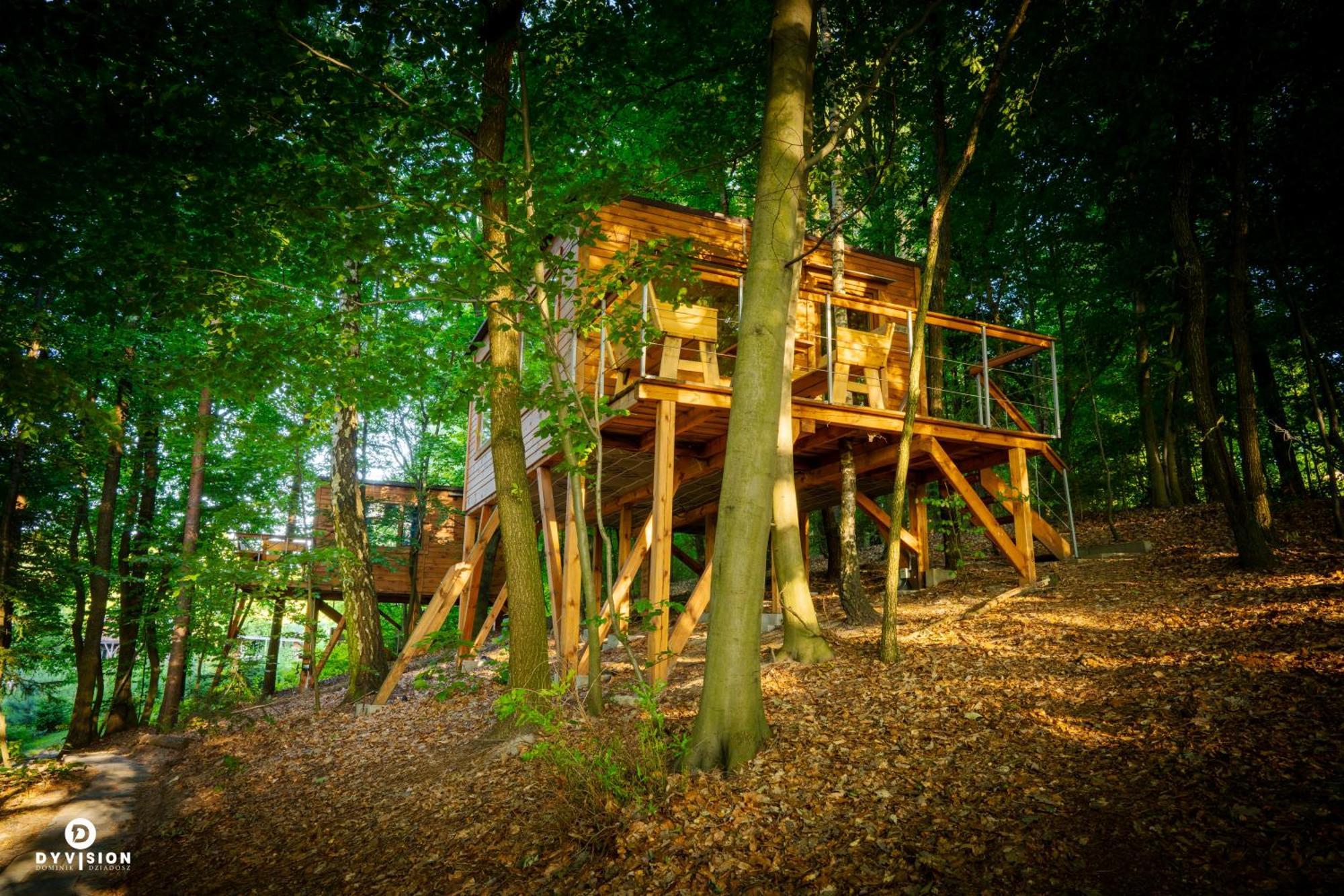 Dolianna Lodge