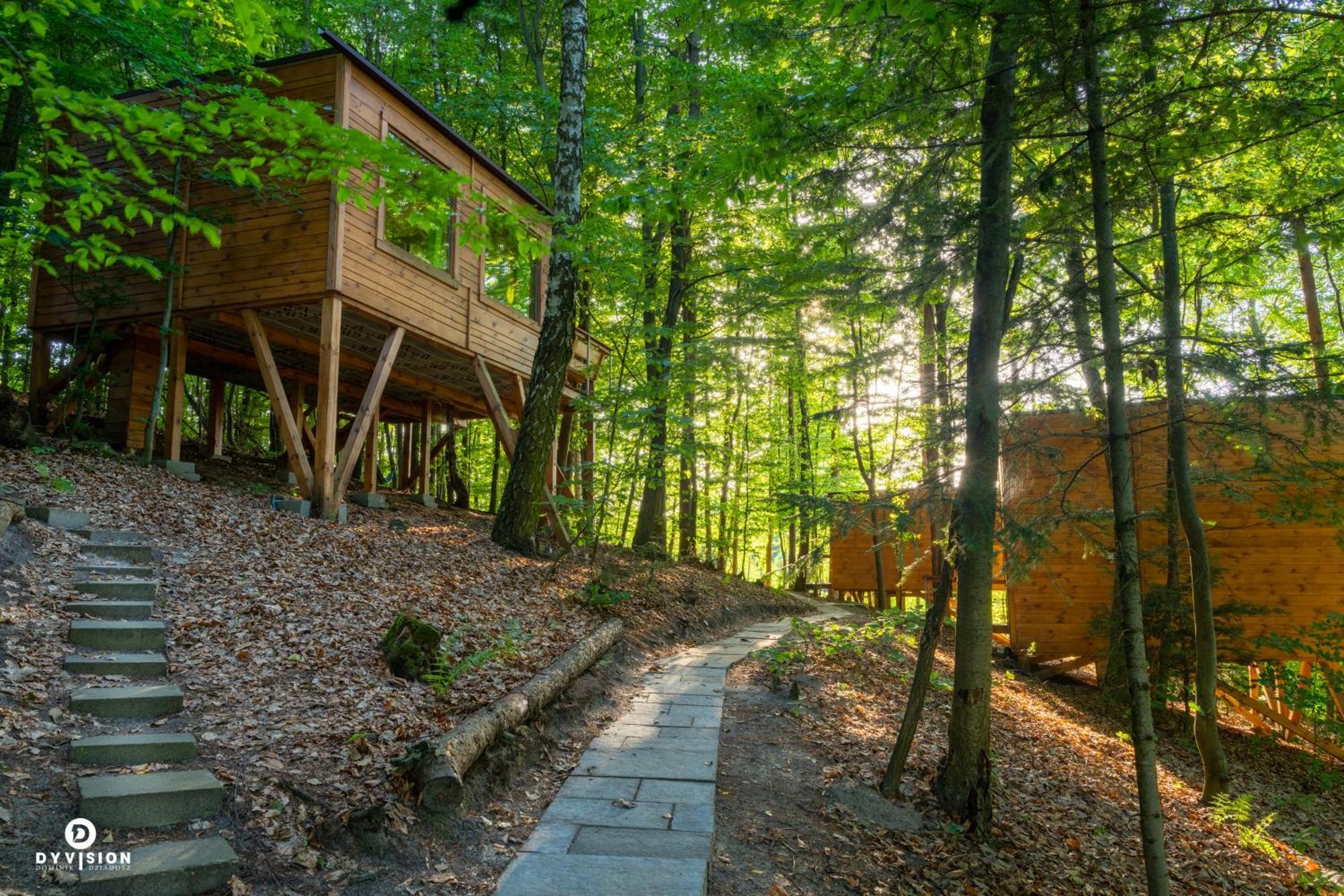 Dolianna Lodge *